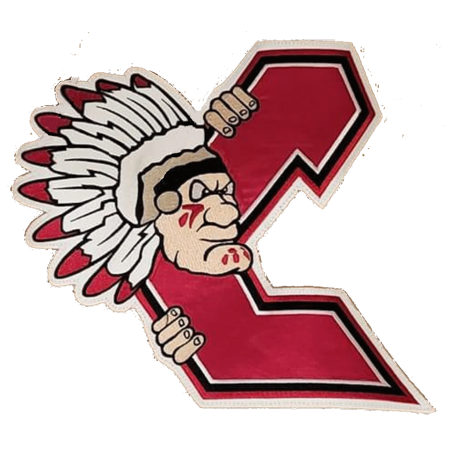 Chilliwack Chiefs 1994-95