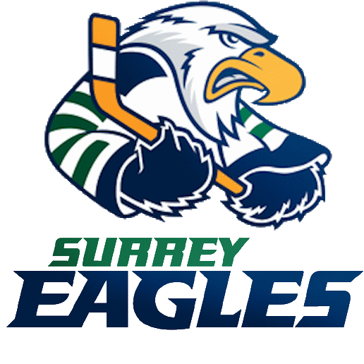 Surrey Eagles 2003-